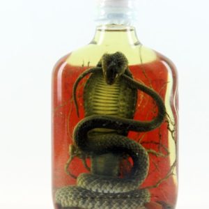 Vin de Serpent Snake Wine Authentique du Vietnam