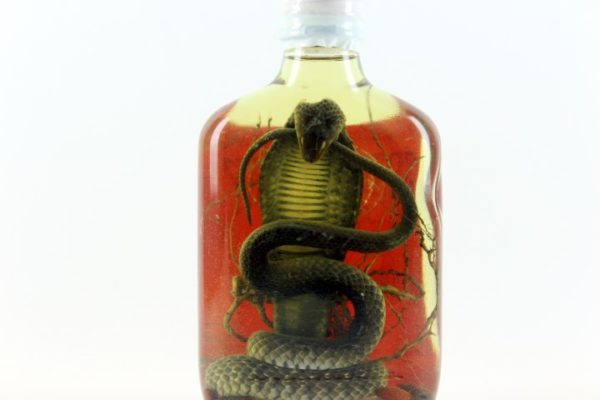 Vin de Serpent Snake Wine Authentique du Vietnam