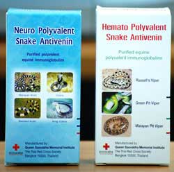 serum anti venin neuro polyvalent hemato polyvalent serpent de Thaïlande